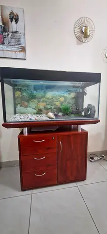 120cm Aquarium with Wooden Cabinet - Ready Setup