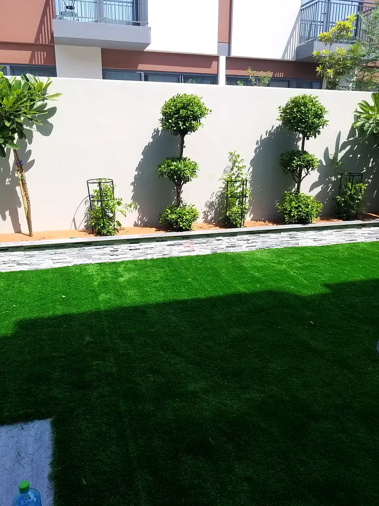 DPV_View_Image_5