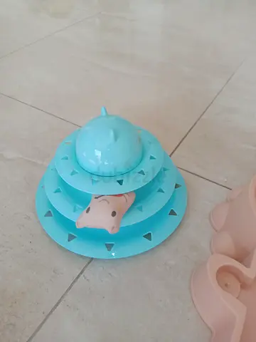 Cat House, litter box, food and water bowl and cat toys
