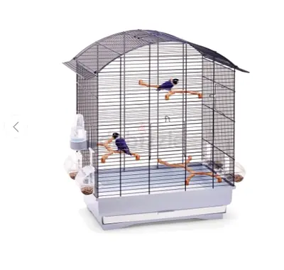 Pets