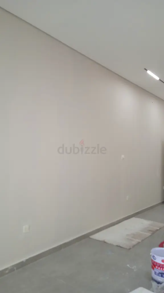 DPV_View_Image_2