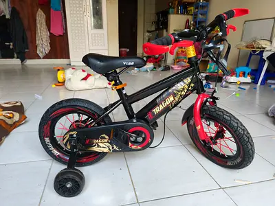 Children's 14" Dragon Kids Bike with Training Wheels — Black & Red