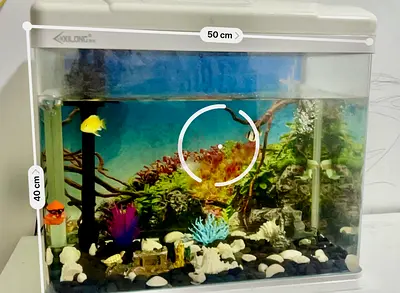 Fish Tank (Aquarium) with Decoration & fishes