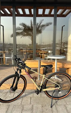 Bicycle Polygon