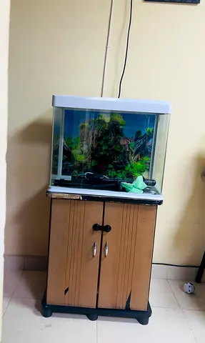 Barely used 60cm Aquarium, wooden stand, Led light, water filter, Bag of white decorative pebbles.
