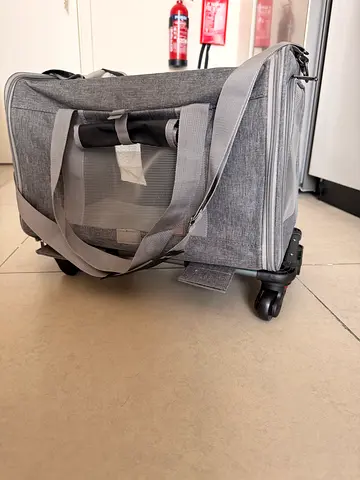 Pet carrier with wheels