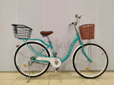 Cruiser bike 26" with dual basket