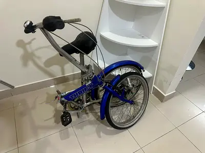 2 fold Japan cycle