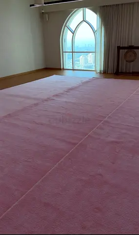Large Light Pink Area Rug — Good Condition, Minimal Wear