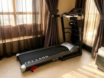 Skyland EM-1289 Treadmill