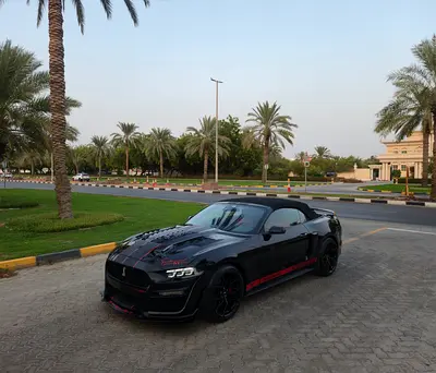 Ford Mustang Ecoboost Premium, миниатюра 15