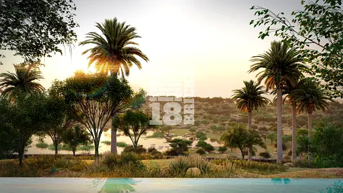 First Row | Upper Plot Overlooking Forest | Ready