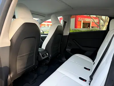 2023 Tesla MODEL Y thumbnail 11