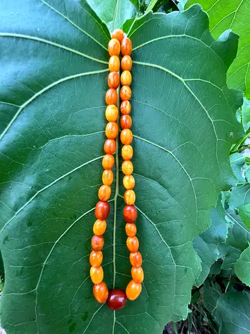 Authentic Genuine Amber prayer beads