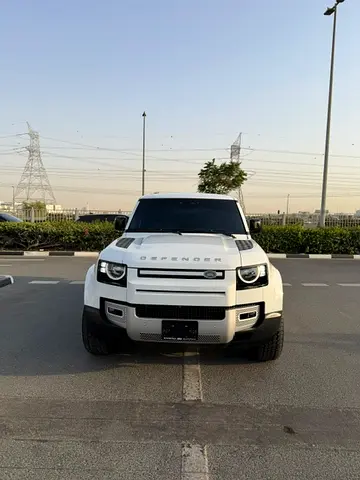 Land Rover Defender 110 S P300, миниатюра 2
