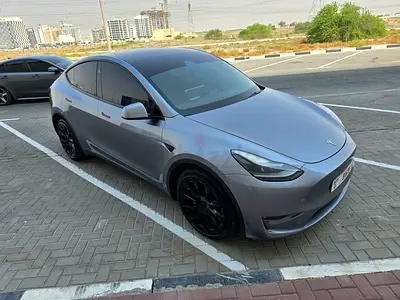 Tesla Model Y Long Range, миниатюра 6
