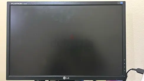 20Inch Dell Monitor for Sale - Great Condition!