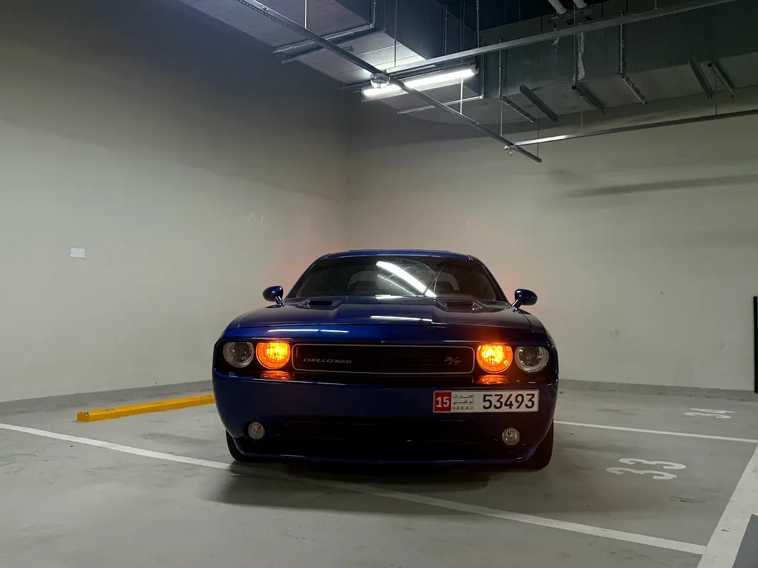 gallery-image