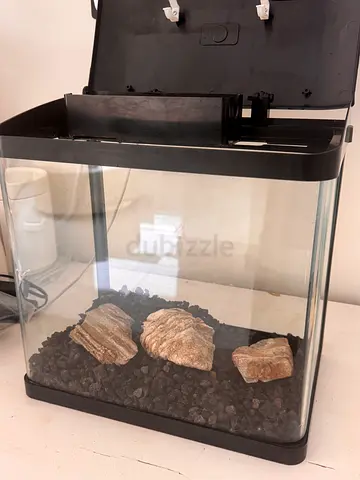 Home Aquarium for Sale