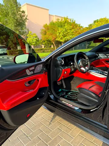 2020 Mercedes-BENZ AMG 照片 16
