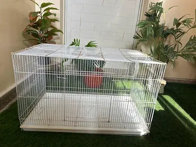 Large bird cage