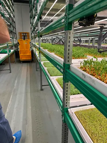 Industrial Vertical Farm in Dubai