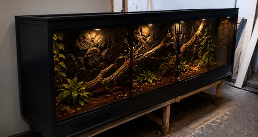 Reptile Enclosure for Sale

Lengths : 2 meters  Height : 1 meter width 1 meter