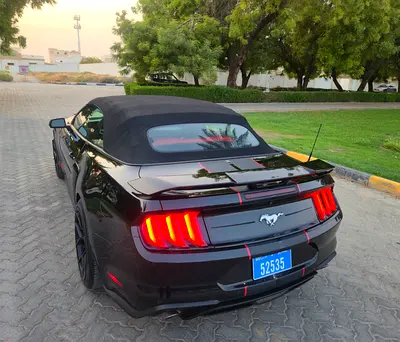 Ford Mustang Ecoboost Premium, миниатюра 17