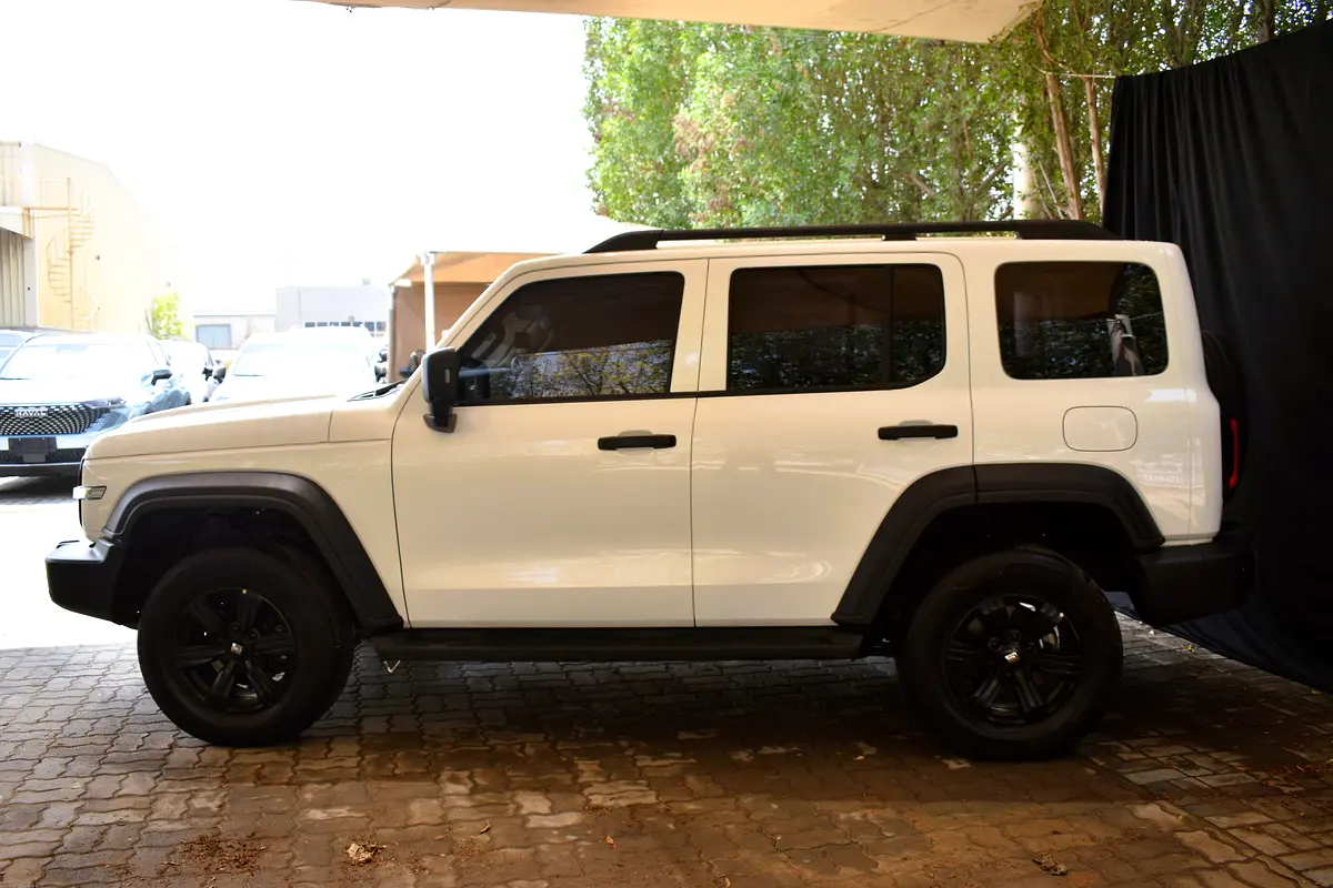 تانك 300 2024