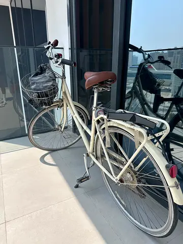 Classic Dutch-style City Bike with Basket and Rear Rack