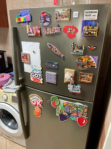 Samsung Fridge