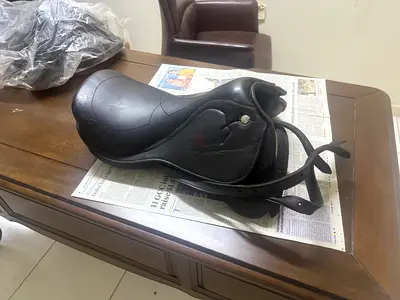 Horse Saddle