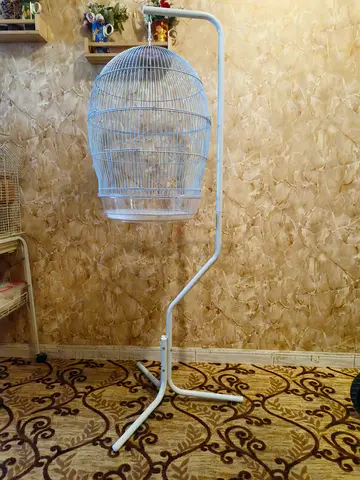 Bird cage good for Birds like (budgies)