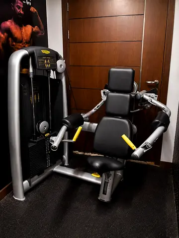 Technogym Delts Machine