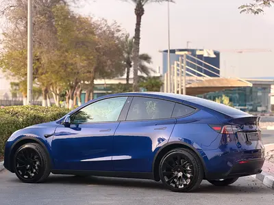 2023 Tesla MODEL Y 照片 5