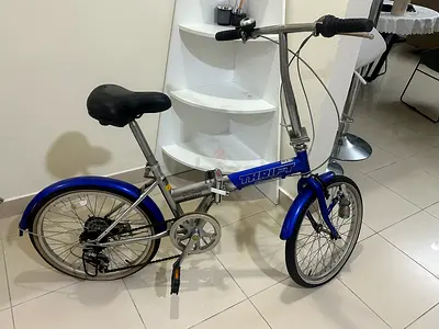 2 fold Japan cycle