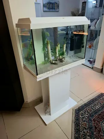 Used 60L Glass Juwel Aquarium with White Stand and Hood - Ready Setup