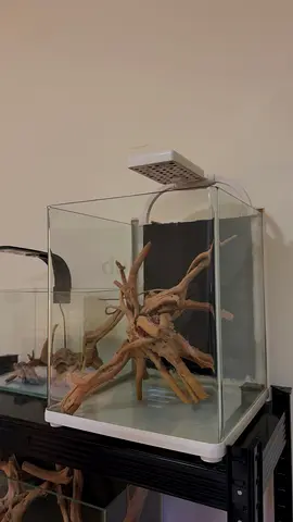 Aquarium
