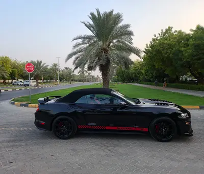 Ford Mustang Ecoboost Premium, миниатюра 18
