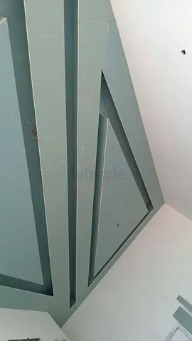 Professional painting service good price and good service