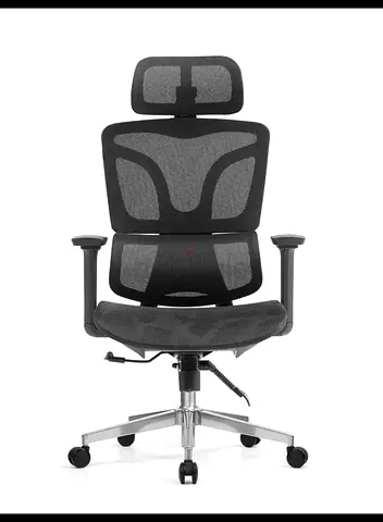 Ergonomic Mesh Office Chair with Headrest — Adjustable Lumbar Support