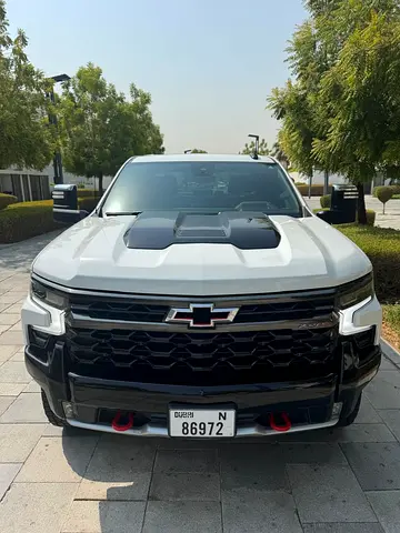 2023 Chevrolet SILVERADO 1500 照片 3