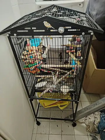 Large Black Bird Cage on Stand with Perches and Toys