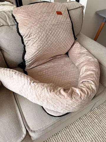 Pet car seat