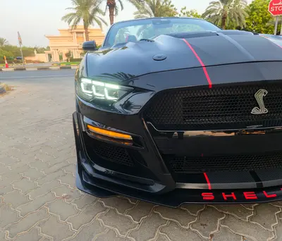 Ford Mustang Ecoboost Premium, миниатюра 3