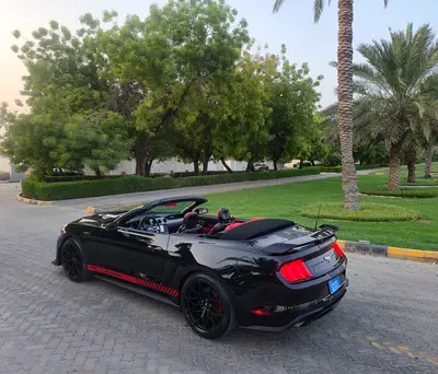 Ford Mustang Ecoboost Premium, миниатюра 14