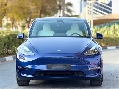 2023 Tesla MODEL Y 照片 3