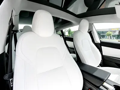 2021 Tesla MODEL 3 — миниатюра 12