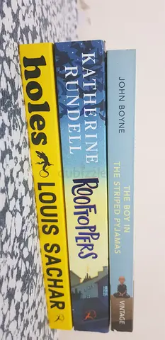3 books: the rooftoppers, the boy in the stripped pajamas, holes