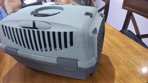 Cat accessory set